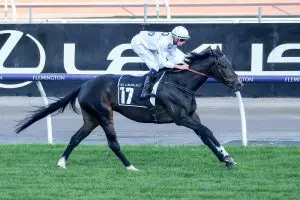 Lunar Flare Lunar Flare books golden ticket into 2023 Melbourne Cup