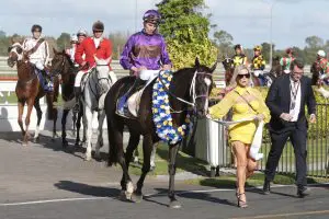 Platinum Invador Platinum Invador on Brisbane Cup path