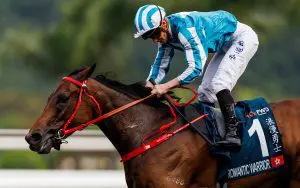 Romantic Warrior 235 Shum confident ahead of Group 1 Standard Chartered Champions & Chater Cup