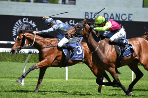 Rustic Steel Big Dance to get bigger and boost to Championships