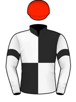 Silks