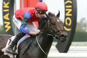 Solidify Ryan Elliot 2023 TD Elliot amped for Brisbane feature