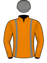 Silks