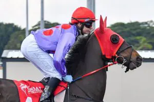Alice Lindsay (4) Former Victorian galloper Ironedge finally salutes in the NT