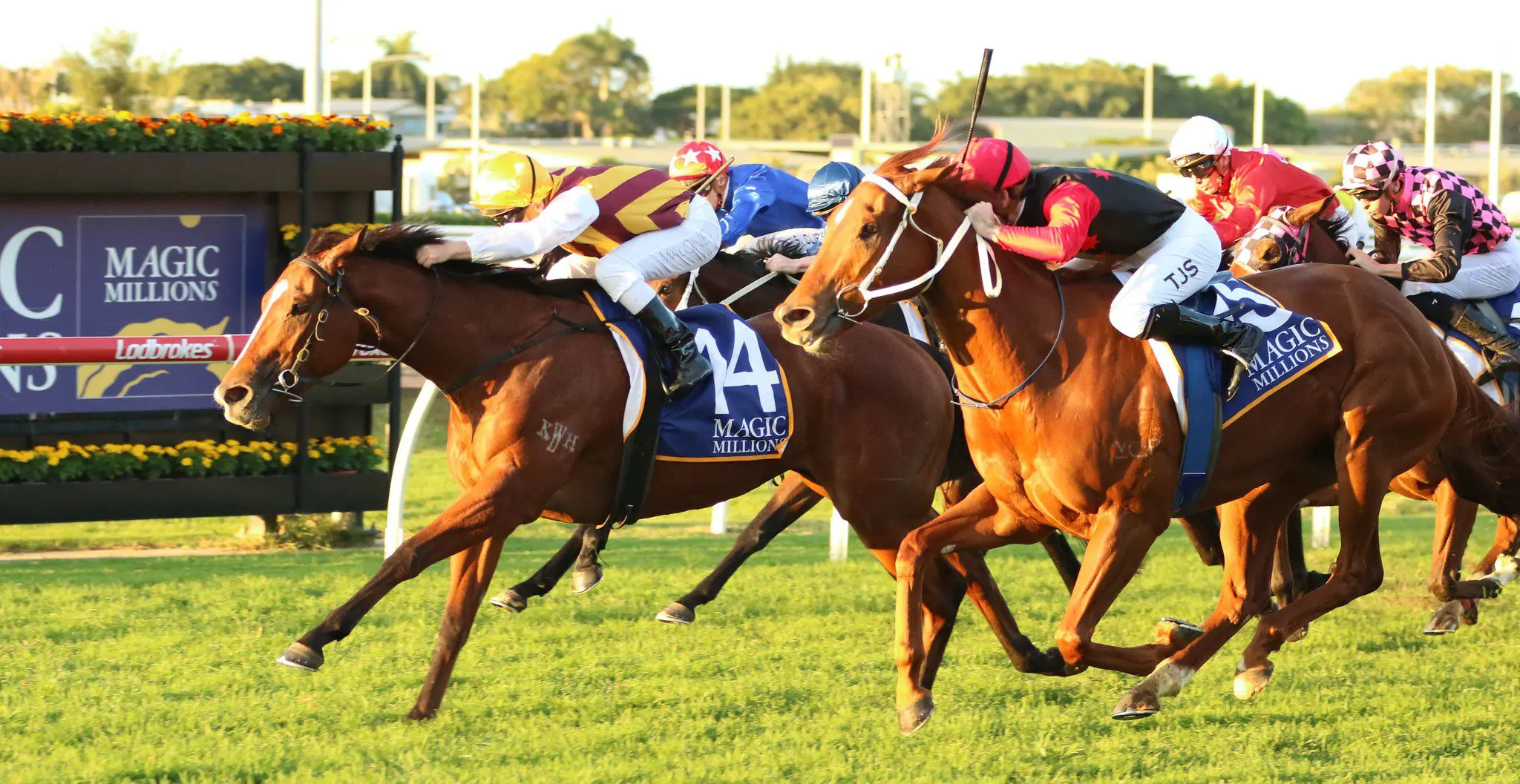 Comrade Rosa wins Dane Ripper Stakes 2023