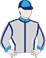 Silks
