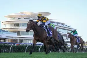Not An Option Not An Option relishes firmer Flemington track