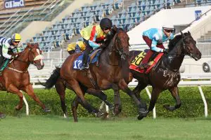 Wellington 136 Wellington set for Royal Ascot after strong Sha Tin trial
