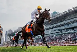 Golden Sixty Golden Sixty crowned Hong Kong Horse of the Year