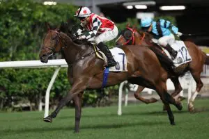 Joyful Hunter Joyful Hunter returns to scene of triumph