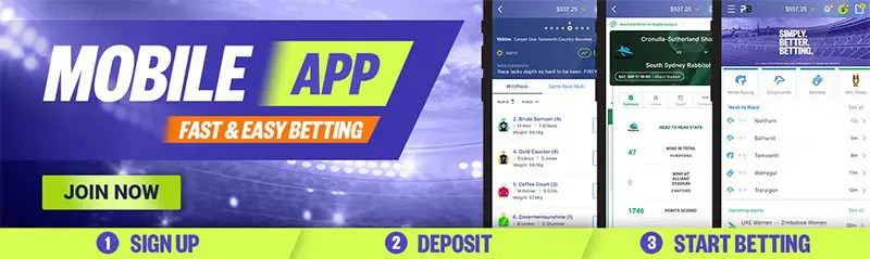 Palmerbet Mobile App