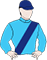 Silks