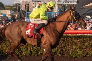 Paul Shiers steers Write Your Name to Darwin Cup win
