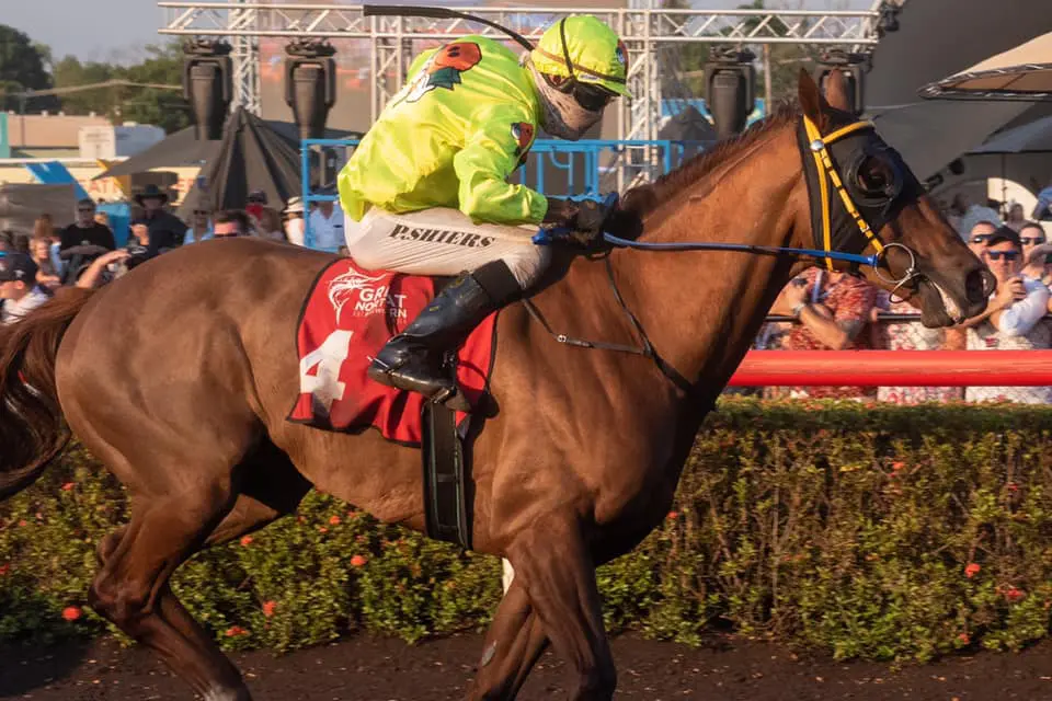 Paul Shiers steers Write Your Name to Darwin Cup win