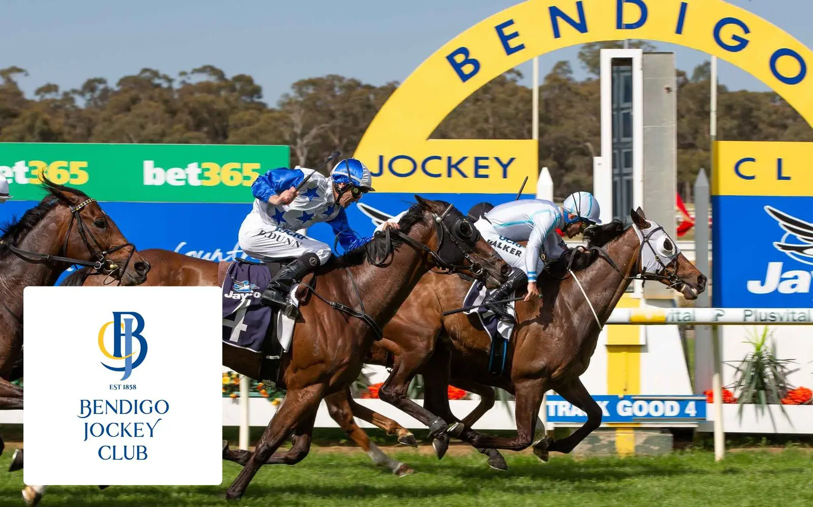 bendigo jockey club