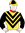 Capital Heart Silks