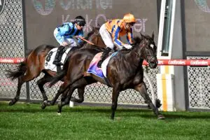 Imperatriz Moir Stakes Imperatriz