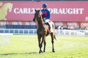 Steparty claims thrilling edition of Caulfield Guineas Prelude
