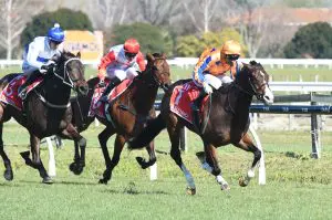 Exciting Te Akau 3YOs to resume