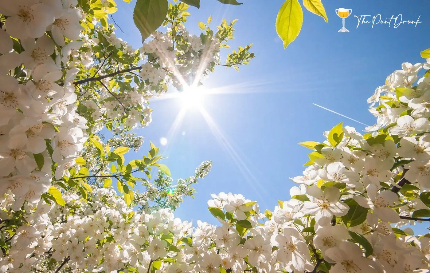 Welcome to Spring!