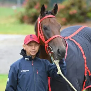 All systems go for Romantic Warrior in Turnbull Stakes