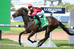 King’s Gambit blouses rivals in Roman Consul Stakes