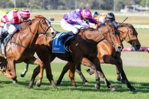 Rheinberg continues winning form
