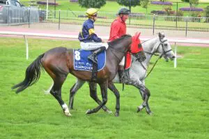 Alenquer could be scratch from the 2023 Melbourne Cup