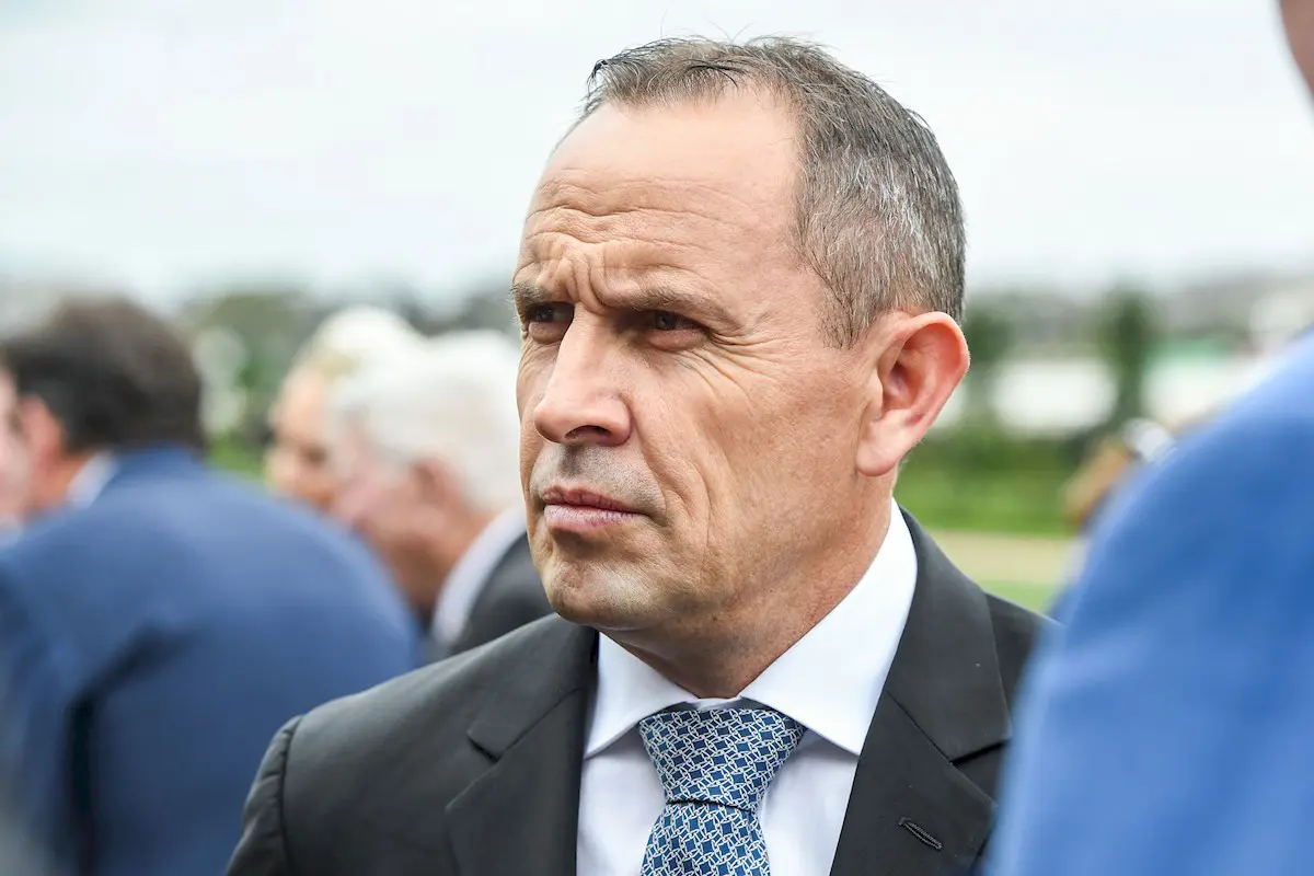 Chris Waller says Buckaroo ready for Caulfied Cup assault