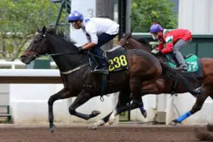 ‘Amazing’ Golden Sixty limbers up as Vincent Ho returns to action