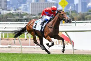 Kaizad claims Carbine Club Stakes