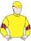 Silks