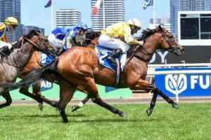 Queen Of The Ball victorious in Begonia Belle Stakes