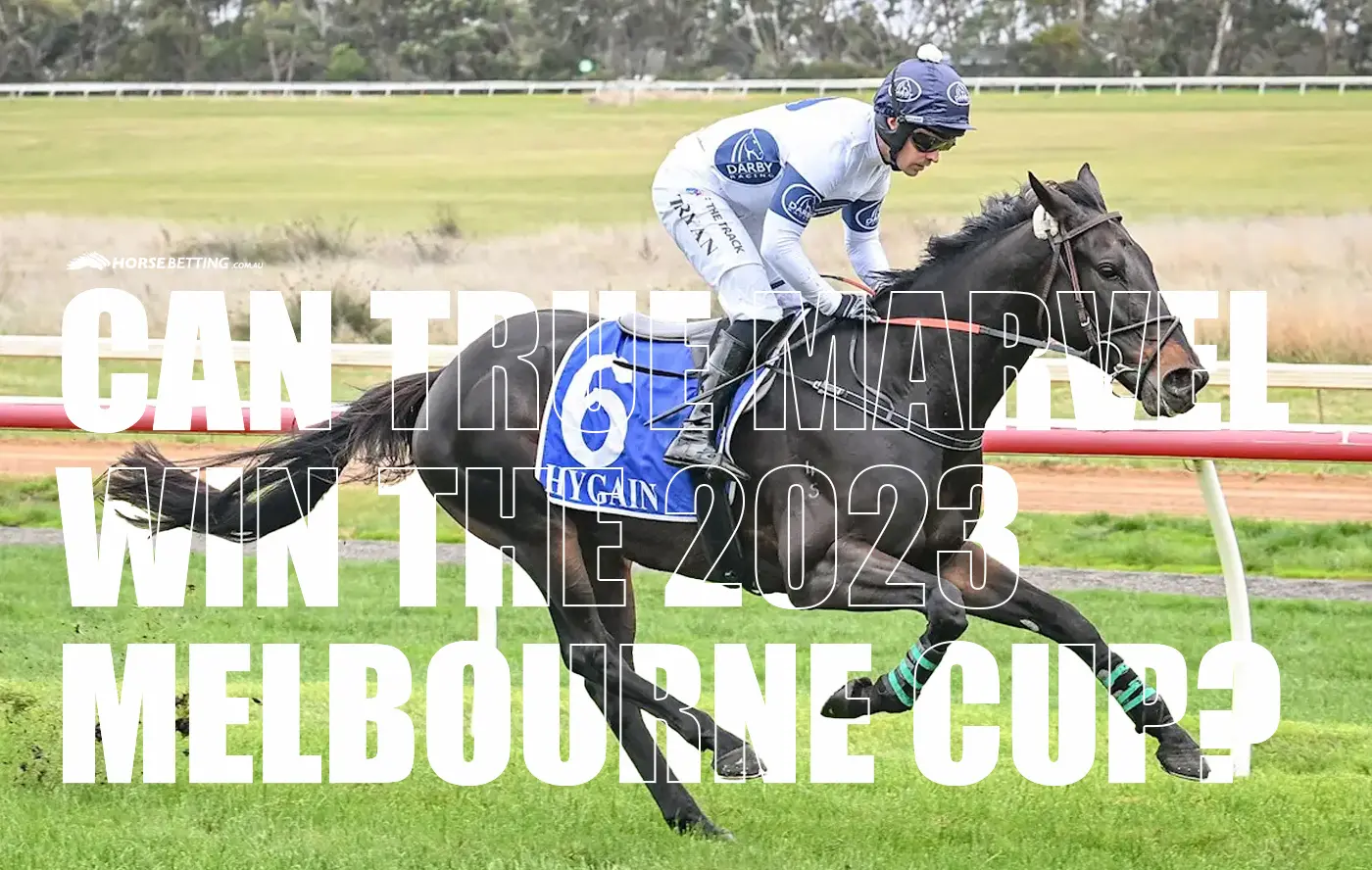 Can True Marvel win the 2023 Melbourne Cup?