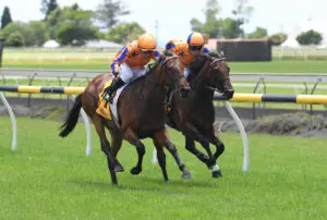 Damask Rose makes Karaka Millions 2YO statement