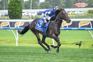 Free Sandown race replays and full results | Saturday, January 25