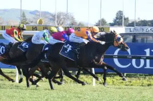 Te Akau armed with strong weekend brigade