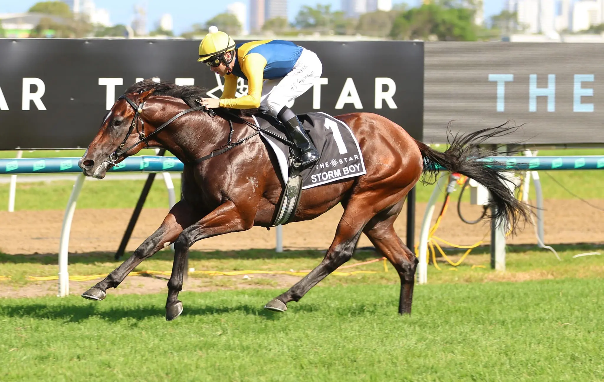 Golden Slipper favourite Storm Boy