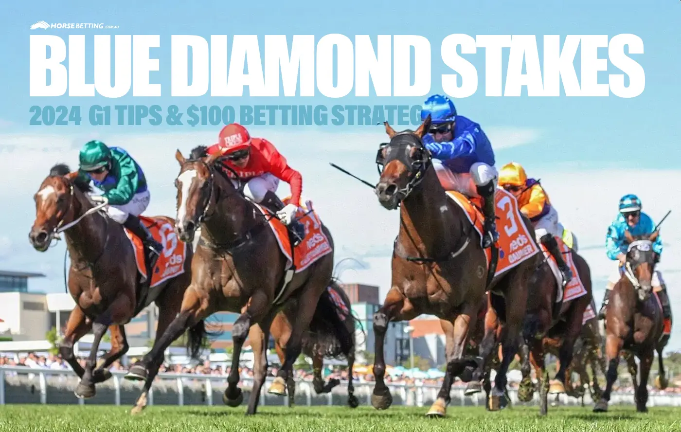 2024 Blue Diamond Stakes tips