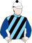 Arctic Glamour Silks