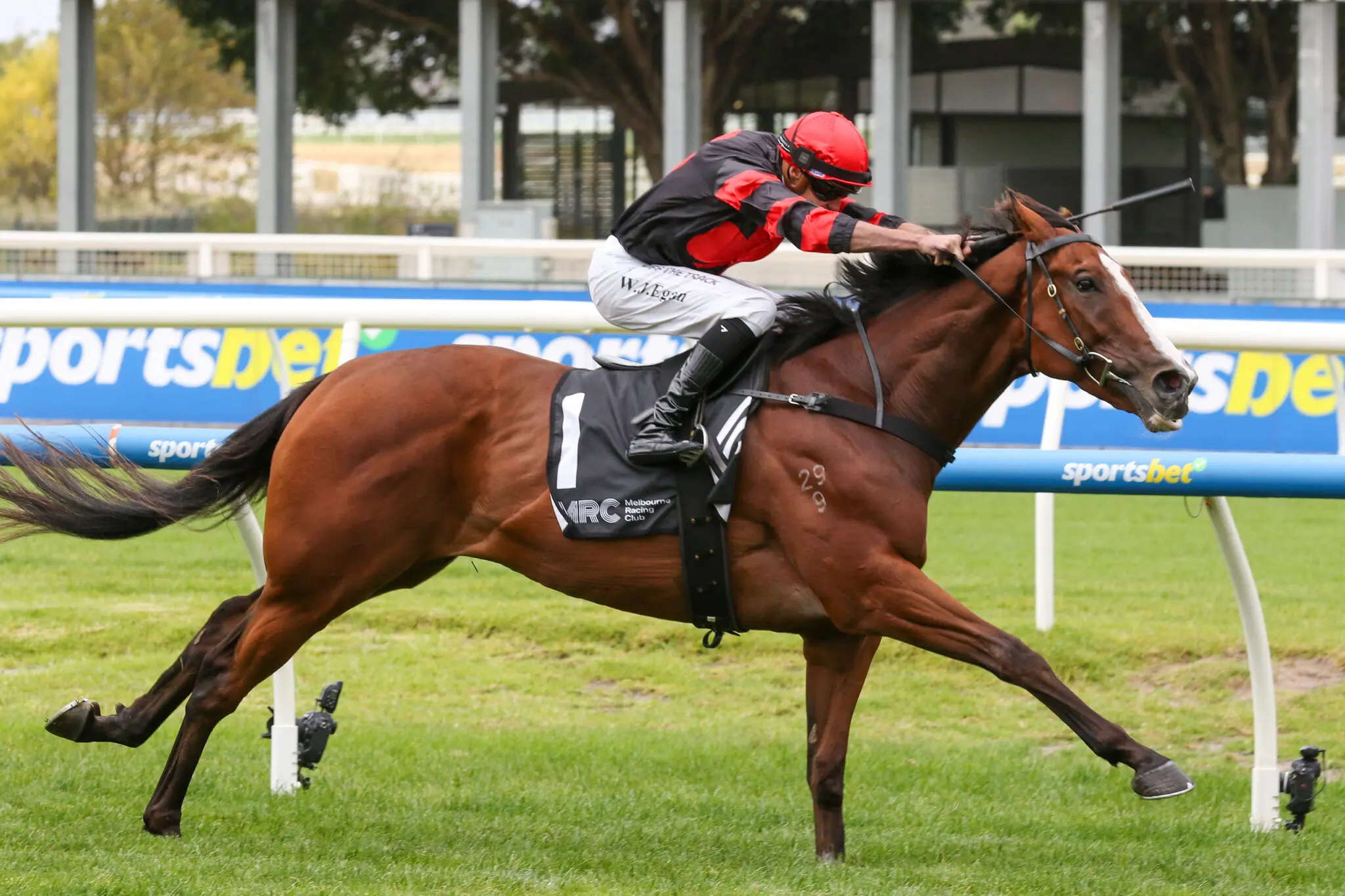 Dunkel winning at Caulfield