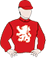 Flyer Silks