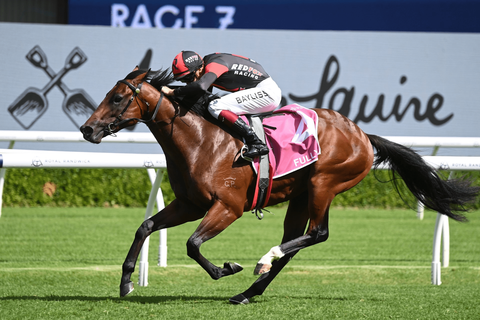 Fully Lit takes out $2 million Inglis Millennium