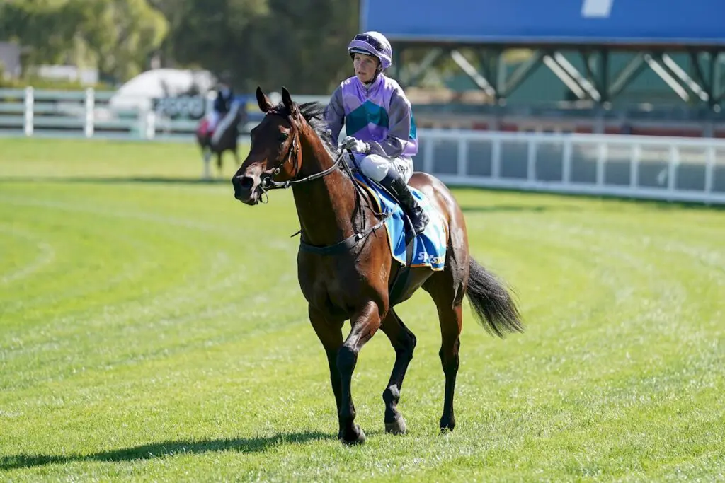 Hayasugi Blue Diamond Stakes winner