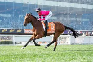 MELBOURNE Cup contender Just Fine