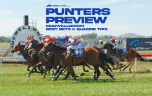 Muswellbrook tips