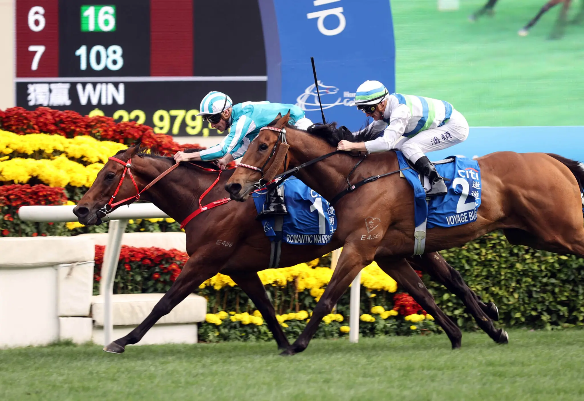 Romantic Warrior winning the Hong Kong Gold Cup