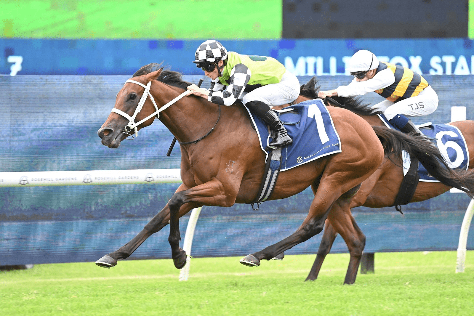 Coolmore Classic 2024: Zougotcha Leads Strong Waller Contingent