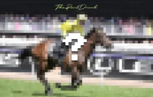 Australias best horse?