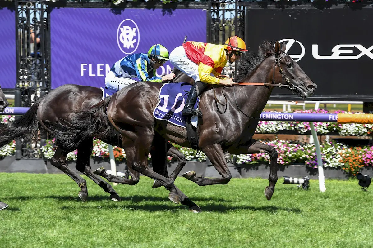 Eternal Flame Wins The Matron Stakes